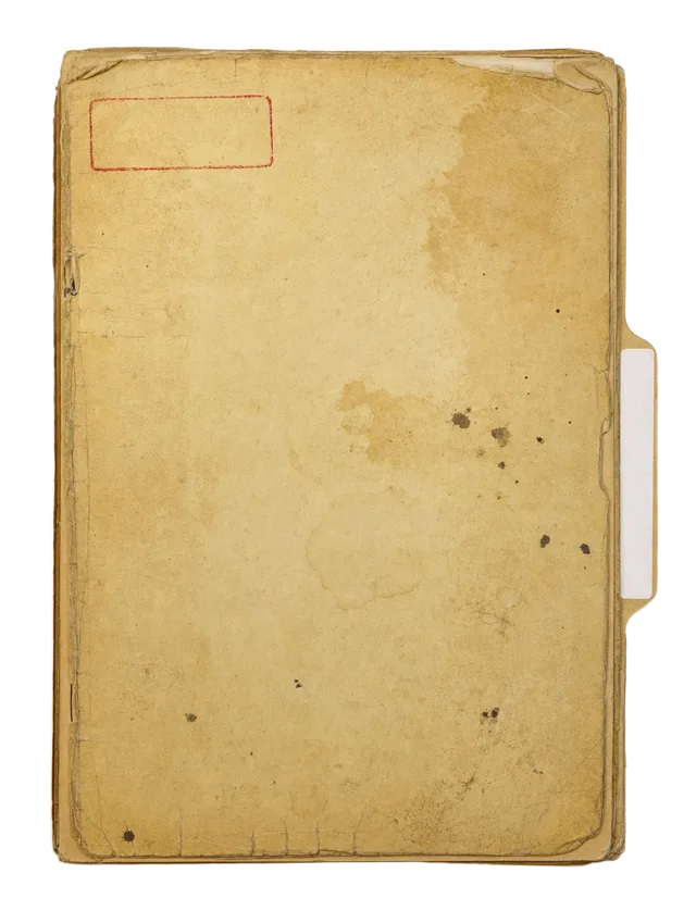 The Dongo Files declassified dossier